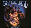 Grateful Dead Built To Last Формат: Audio CD (DigiPack) Дистрибьюторы: Rhino Entertainment Company, Warner Music Group Company, Торговая Фирма "Никитин" Германия Лицензионные товары инфо 2742r.